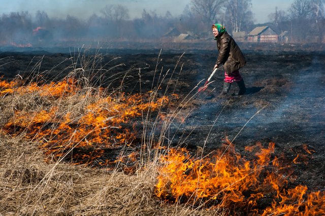 Пожар уничтожил семнадцать домов  - фото 3