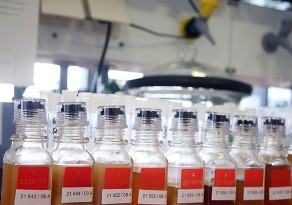 doping