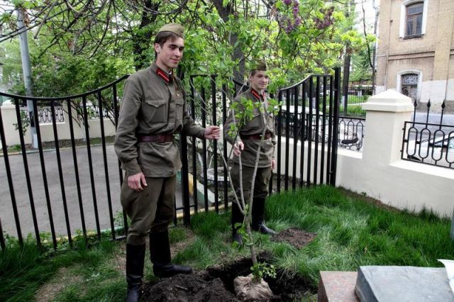 «Сирень Победы»: именные сорта сирени посадили в московском «Сквере Победителей» - фото 3