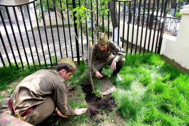 «Сирень Победы»: именные сорта сирени посадили в московском «Сквере Победителей» - фото 8