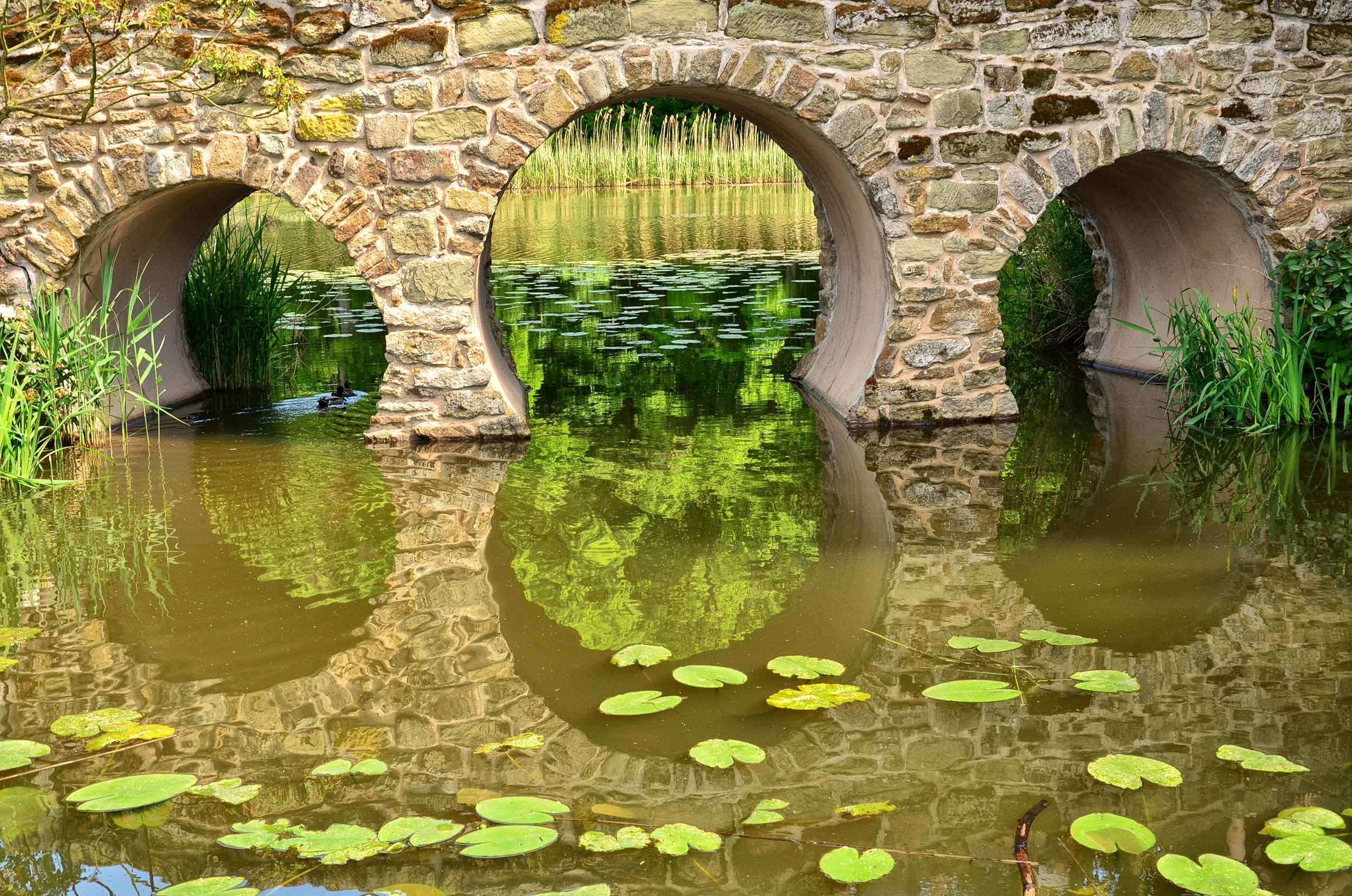 Арка в воде. Арка с водой. Красивые каменные мосты. Пруд с кувшинками. Природа река пруд мост.