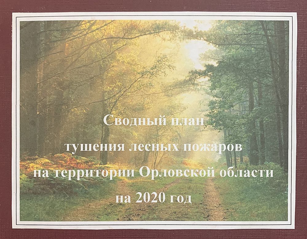 В Орловской области утвержден Сводный план тушения лесных пожаров на 2020 год - фото 1