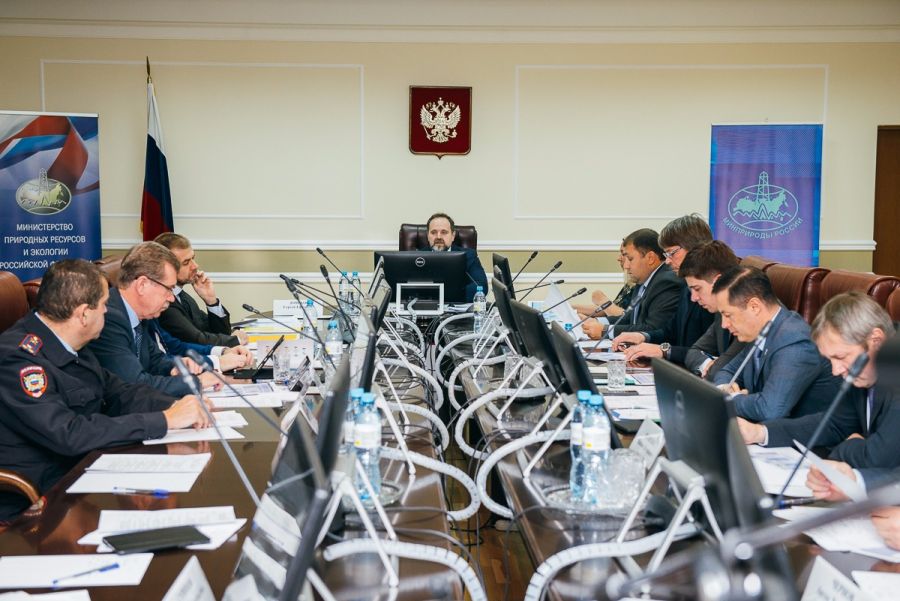 Минприроды определилось с итогами Года экологии (ФОТО, ВИДЕО) - фото 11