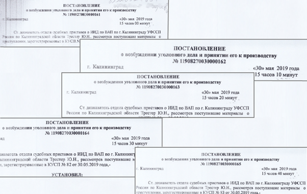 Истребление русских экологов: пять уголовных дел за 40 минут - фото 3