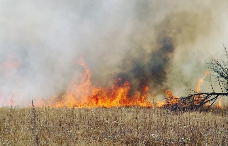 Заповедник «Большехехцирский» сигнализирует о возможности опасного для природы пожара - Заповеднику  - фото 1