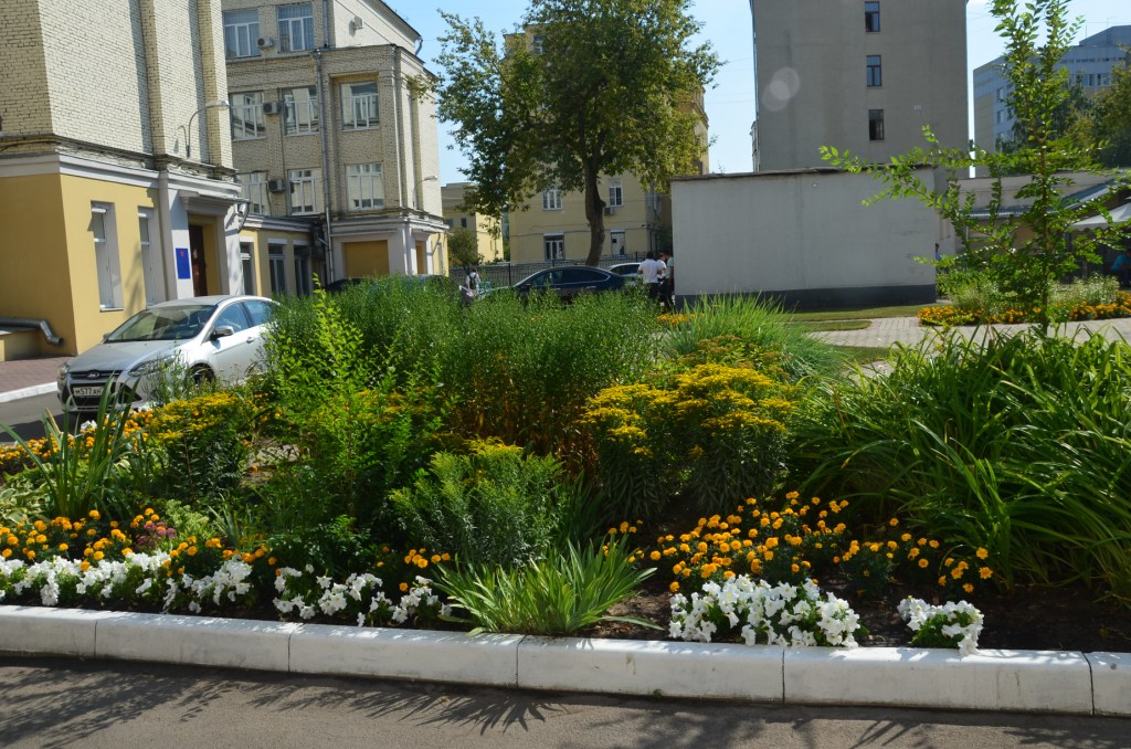   Организация учебного процесса в школах Москвы в 2014 году  - фото 28