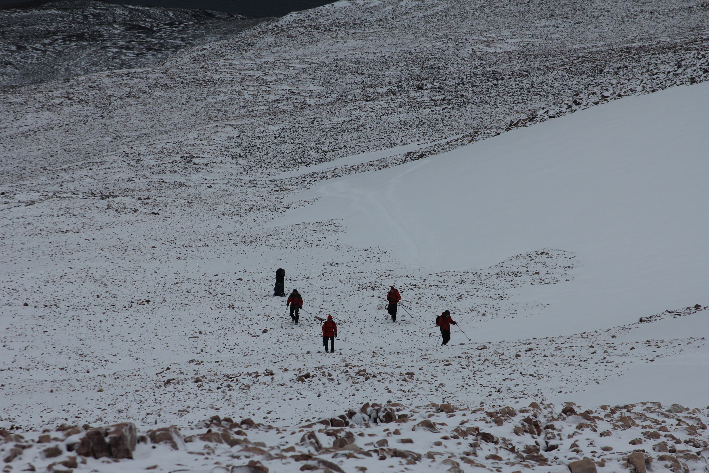  Закончилась экспедиция «Полярный меридиан. Шпицберген-2014»  - фото 32