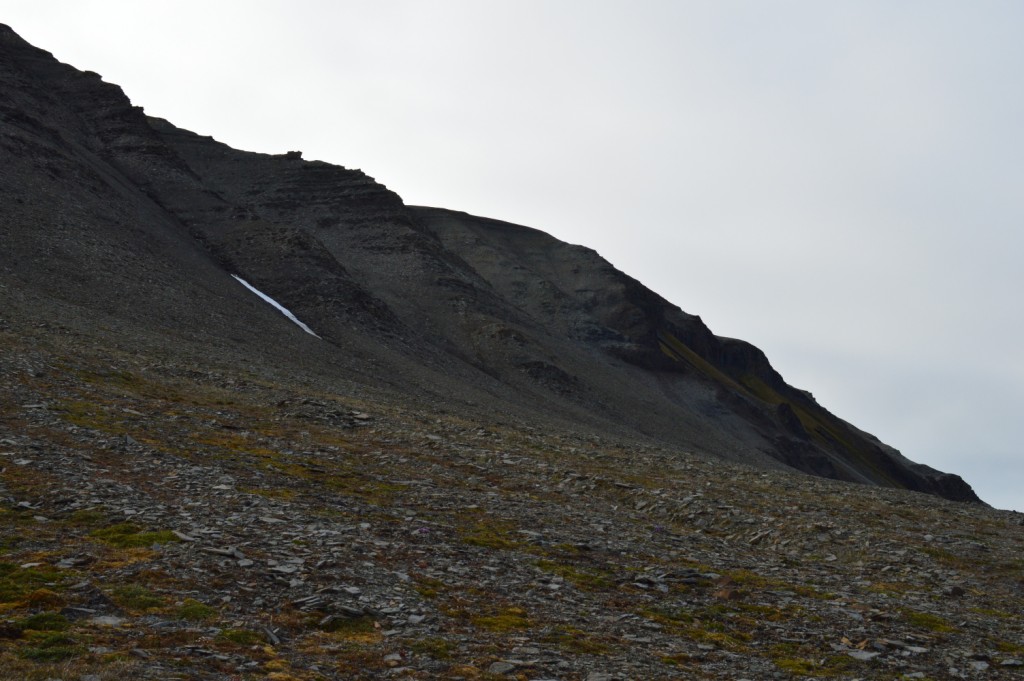  На третьем этапе экспедиции «Полярный меридиан. Шпицберген-2014»  - фото 5