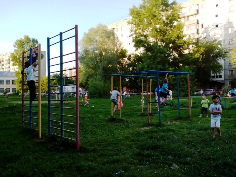   Минус 139 деревьев  - фото 4