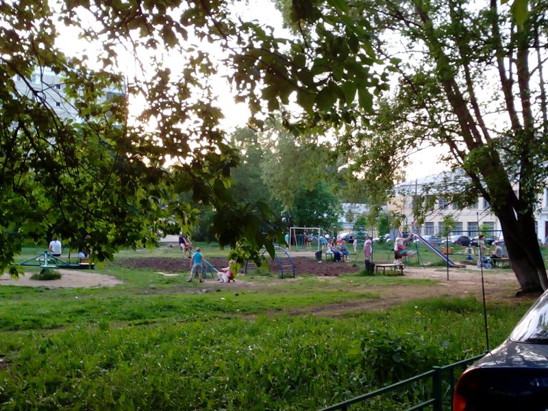   Минус 139 деревьев  - фото 5