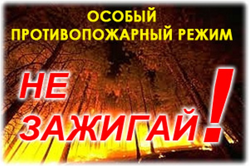 Особый противопожарный режим введен с 28 марта на территории Орловской области - фото 1
