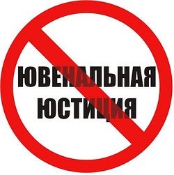  Участники общественных слушаний потребовали остановить ювенальный разворот российской  семейной политики - фото 1