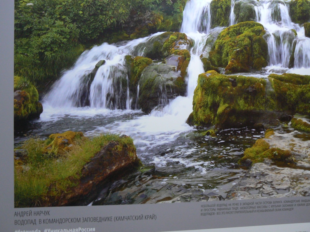 P1770505