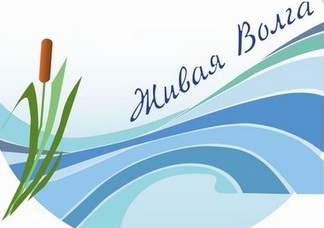 Вода -ключевой ингредиент,  Татьяна Губина - региональный менеджер по внешним связям и коммуникациям Coca-Cola Hellenic в Москве  - фото 3