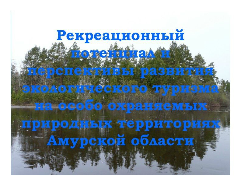 Ковальчук Амурская область 1