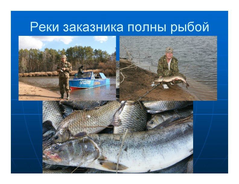  Выступление Ковальчука И.В. на пленарном заседании WEB – конференции Минприроды «Особо охраняемые природные территории как стратегический элемент для развития экологического туризма в Российской Федерации»  - фото 13