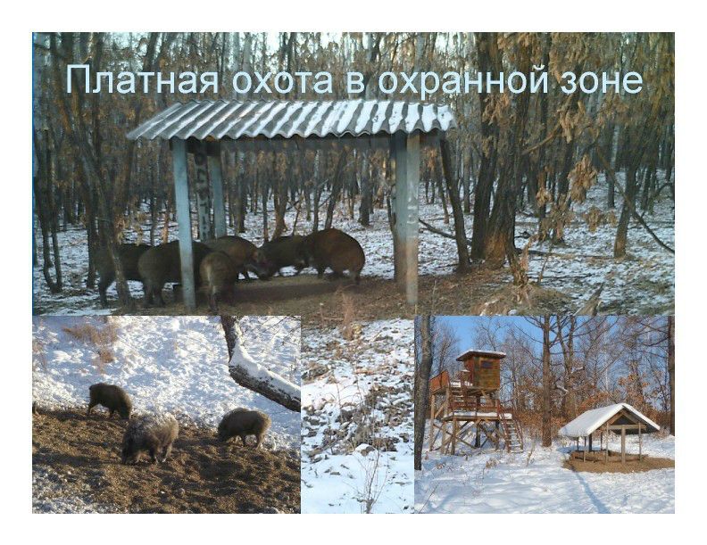  Выступление Ковальчука И.В. на пленарном заседании WEB – конференции Минприроды «Особо охраняемые природные территории как стратегический элемент для развития экологического туризма в Российской Федерации»  - фото 14