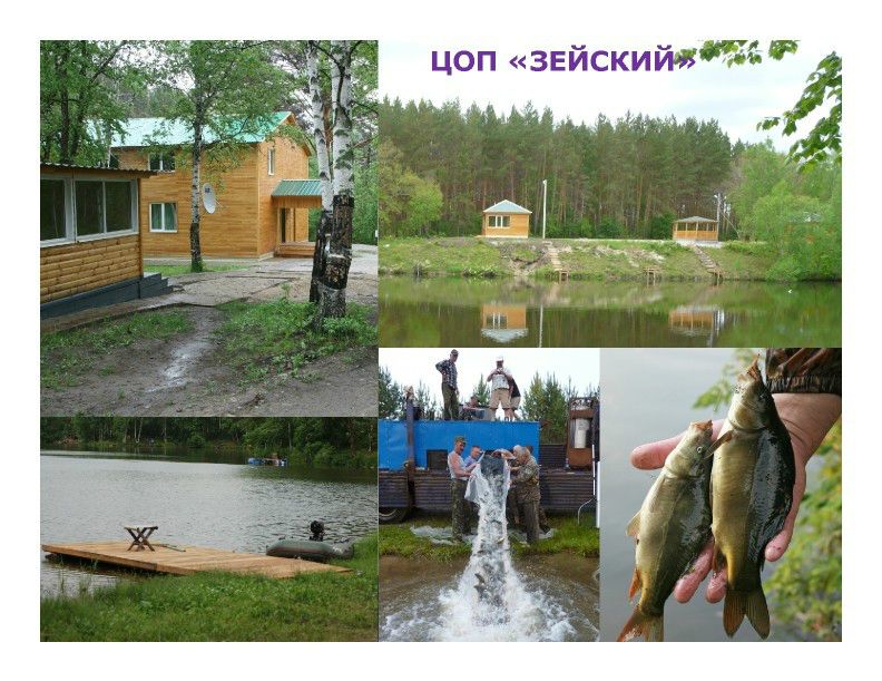  Выступление Ковальчука И.В. на пленарном заседании WEB – конференции Минприроды «Особо охраняемые природные территории как стратегический элемент для развития экологического туризма в Российской Федерации»  - фото 17