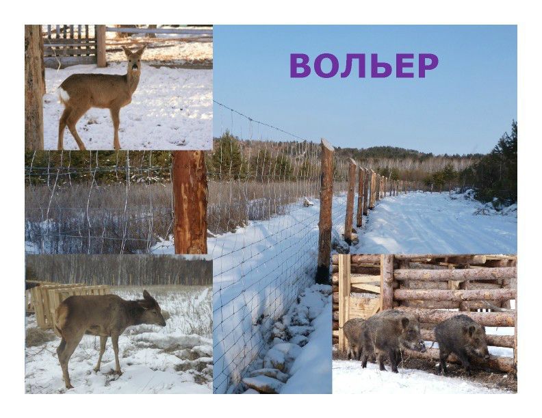  Выступление Ковальчука И.В. на пленарном заседании WEB – конференции Минприроды «Особо охраняемые природные территории как стратегический элемент для развития экологического туризма в Российской Федерации»  - фото 18