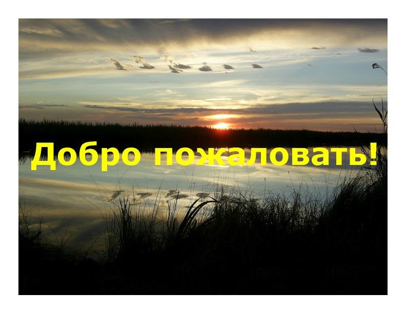  Выступление Ковальчука И.В. на пленарном заседании WEB – конференции Минприроды «Особо охраняемые природные территории как стратегический элемент для развития экологического туризма в Российской Федерации»  - фото 20
