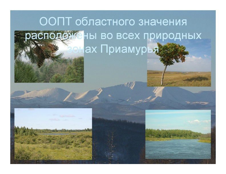  Выступление Ковальчука И.В. на пленарном заседании WEB – конференции Минприроды «Особо охраняемые природные территории как стратегический элемент для развития экологического туризма в Российской Федерации»  - фото 4