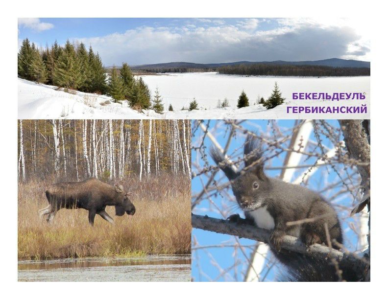  Выступление Ковальчука И.В. на пленарном заседании WEB – конференции Минприроды «Особо охраняемые природные территории как стратегический элемент для развития экологического туризма в Российской Федерации»  - фото 8