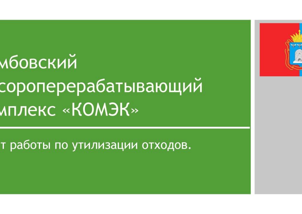  Выступление И.Блюма на круглом столе «Технология сортировки ТБО» в рамках вебинара Минприроды РФ  - фото 3