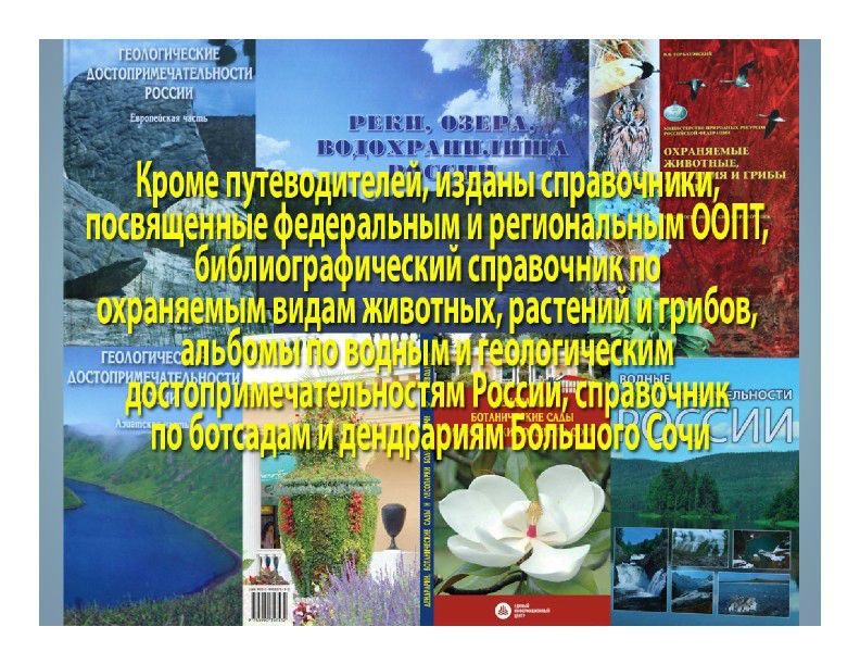  Выступление Горбатовского В.В.  на пленарном заседании WEB – конференции Минприроды «Особо охраняемые природные территории как стратегический элемент для развития экологического туризма в Российской Федерации»  - фото 7