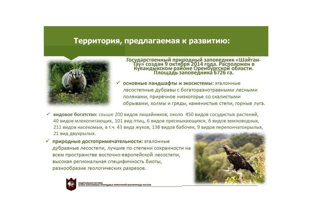  Выступление Баранниковой О.Н.на  круглом столе «Современное состояние и перспективы развития экологического туризма на ООПТ»  - фото 2