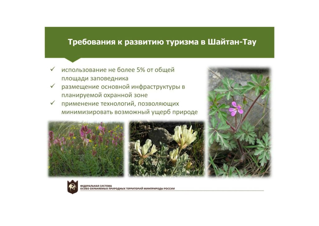  Выступление Баранниковой О.Н.на  круглом столе «Современное состояние и перспективы развития экологического туризма на ООПТ»  - фото 3