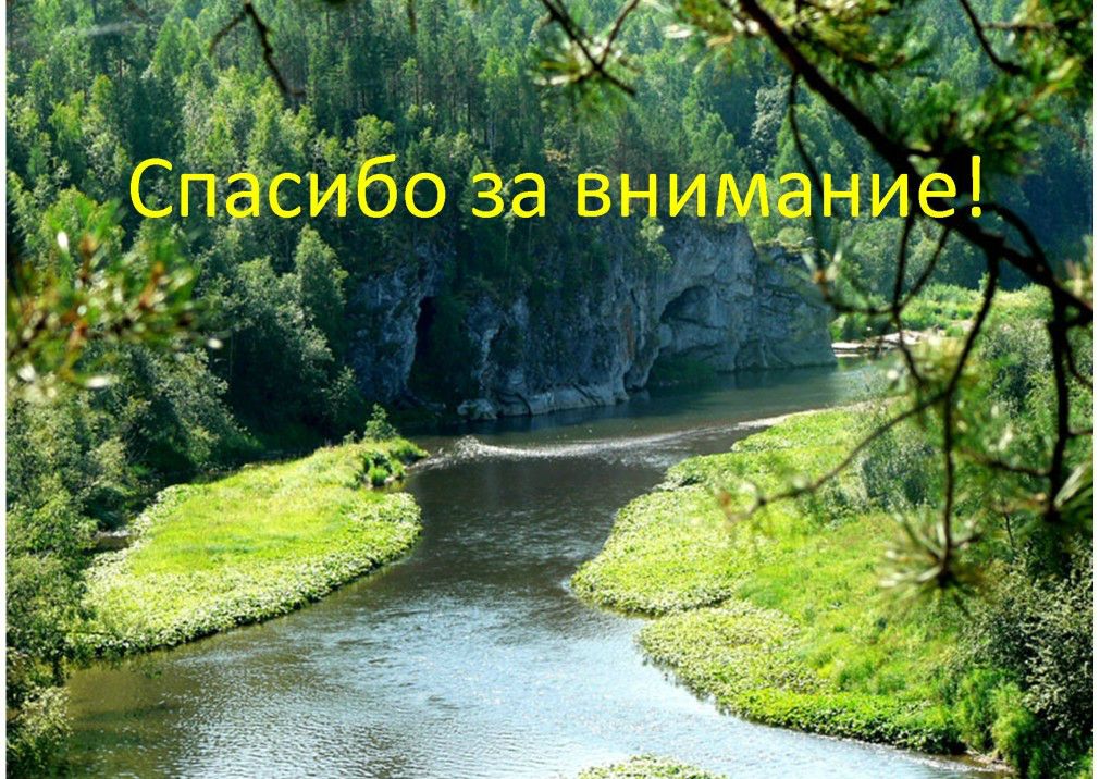 Выступление Кузнецова А.В. на  круглом столе «Современное состояние и перспективы развития экологического туризма на ООПТ»  - фото 6