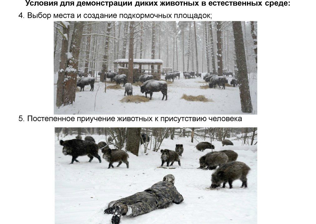  Выступление Шпиленок П.И на  круглом столе «Современное состояние и перспективы развития экологического туризма на ООПТ»  - фото 10