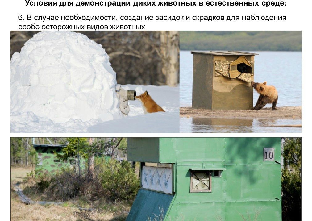 Выступление Шпиленок П.И на  круглом столе «Современное состояние и перспективы развития экологического туризма на ООПТ»  - фото 11