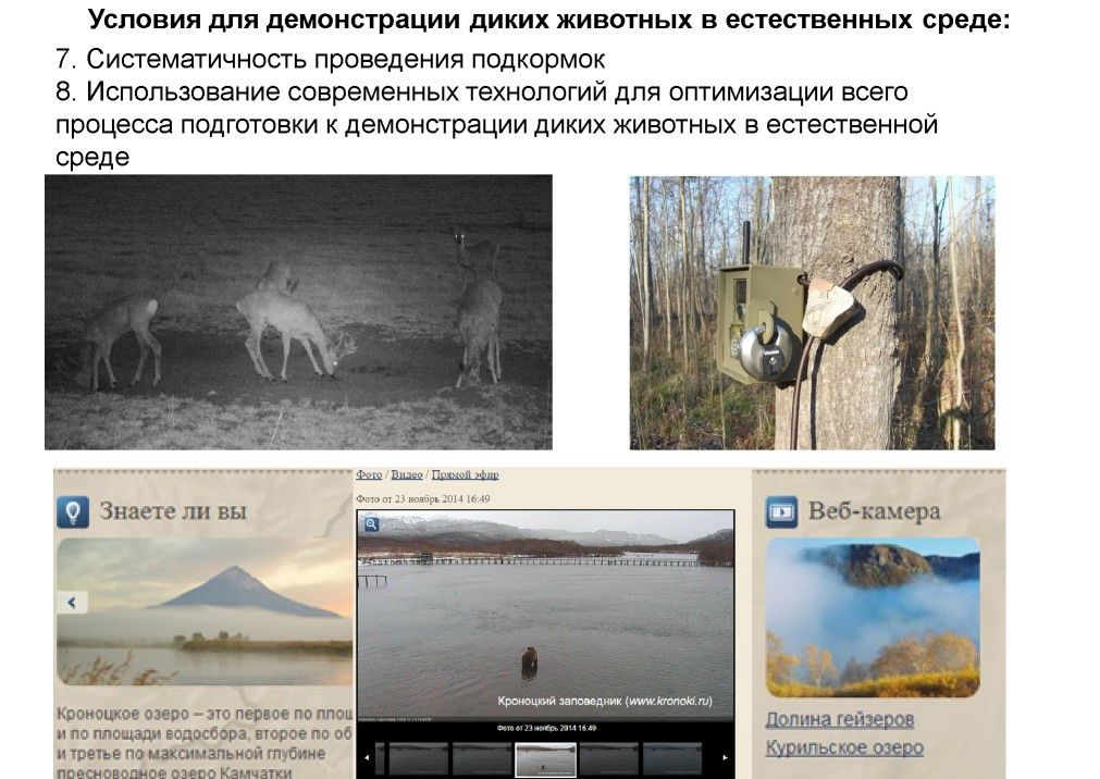  Выступление Шпиленок П.И на  круглом столе «Современное состояние и перспективы развития экологического туризма на ООПТ»  - фото 12