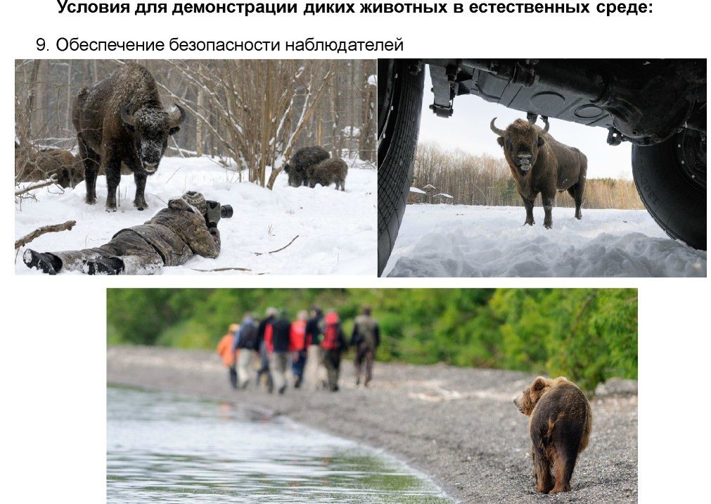  Выступление Шпиленок П.И на  круглом столе «Современное состояние и перспективы развития экологического туризма на ООПТ»  - фото 13