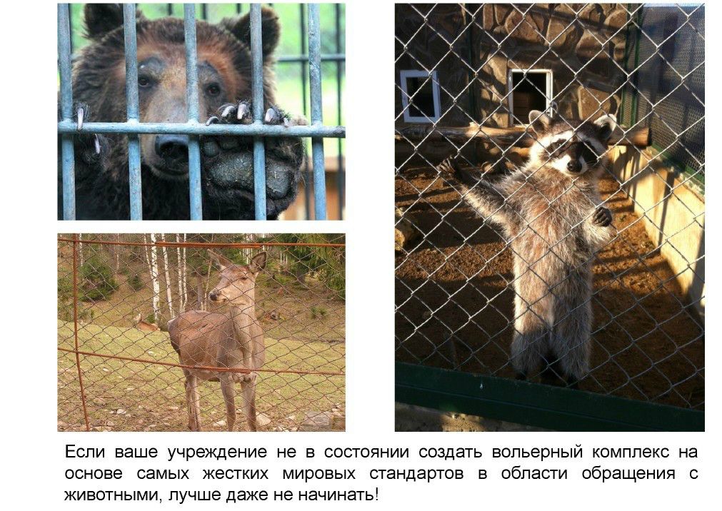  Выступление Шпиленок П.И на  круглом столе «Современное состояние и перспективы развития экологического туризма на ООПТ»  - фото 14