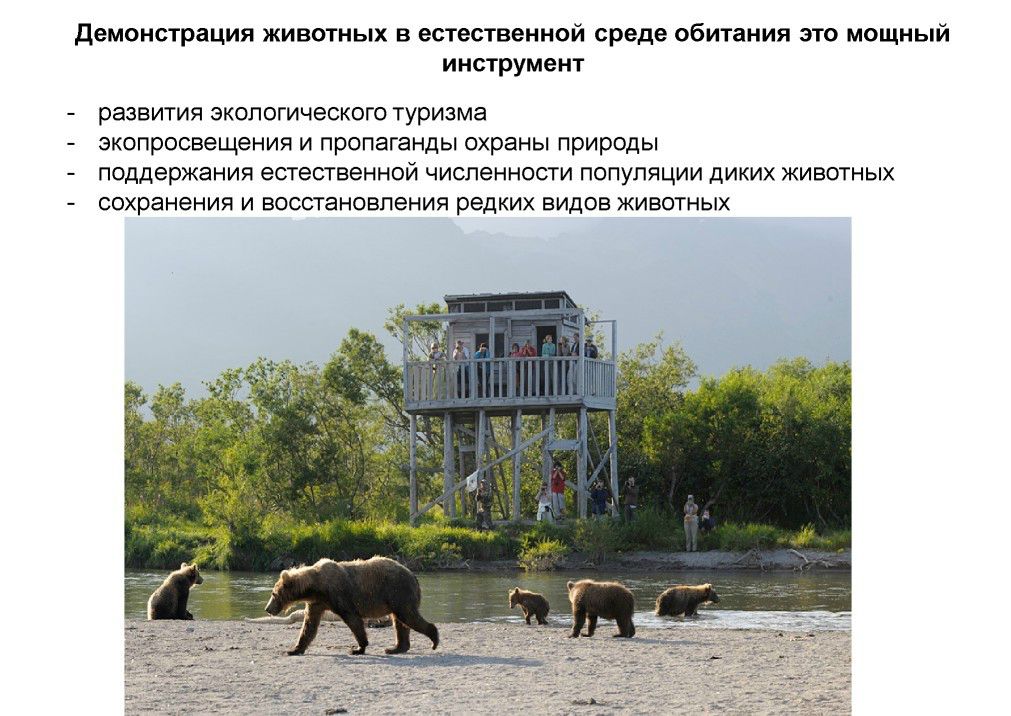  Выступление Шпиленок П.И на  круглом столе «Современное состояние и перспективы развития экологического туризма на ООПТ»  - фото 15