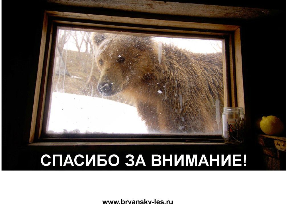  Выступление Шпиленок П.И на  круглом столе «Современное состояние и перспективы развития экологического туризма на ООПТ»  - фото 17