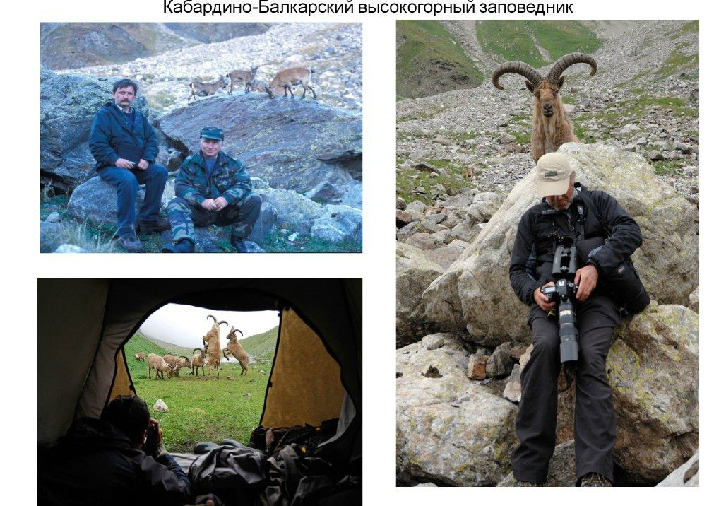  Выступление Шпиленок П.И на  круглом столе «Современное состояние и перспективы развития экологического туризма на ООПТ»  - фото 5