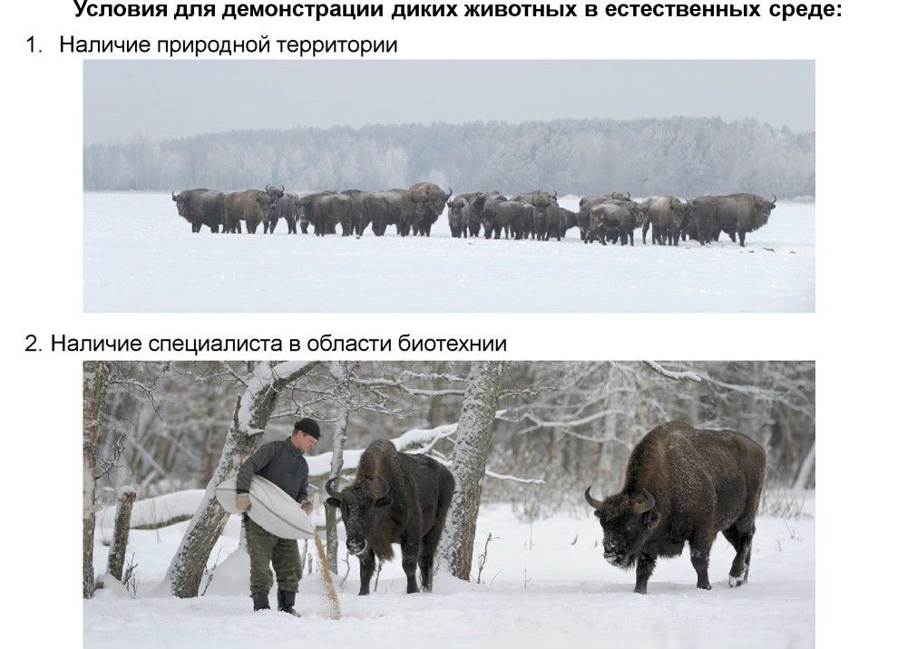  Выступление Шпиленок П.И на  круглом столе «Современное состояние и перспективы развития экологического туризма на ООПТ»  - фото 8