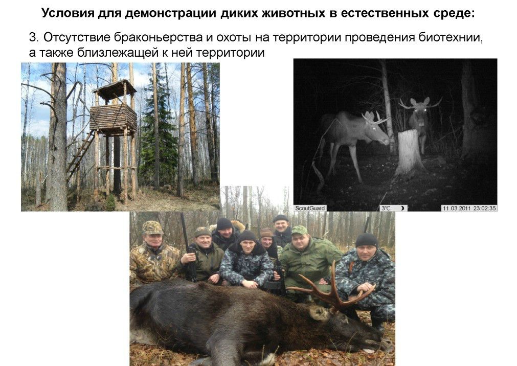  Выступление Шпиленок П.И на  круглом столе «Современное состояние и перспективы развития экологического туризма на ООПТ»  - фото 9