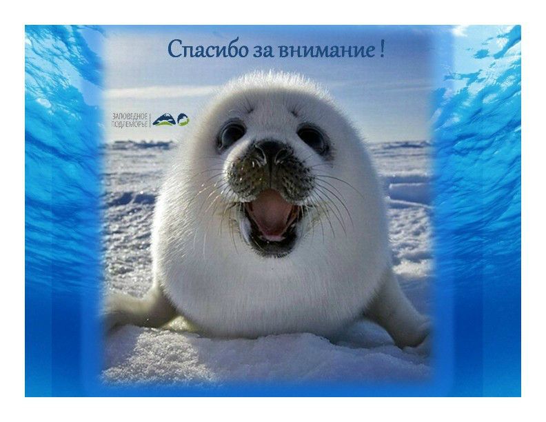 Просекин Заповедное Подлеморье для интернет  16