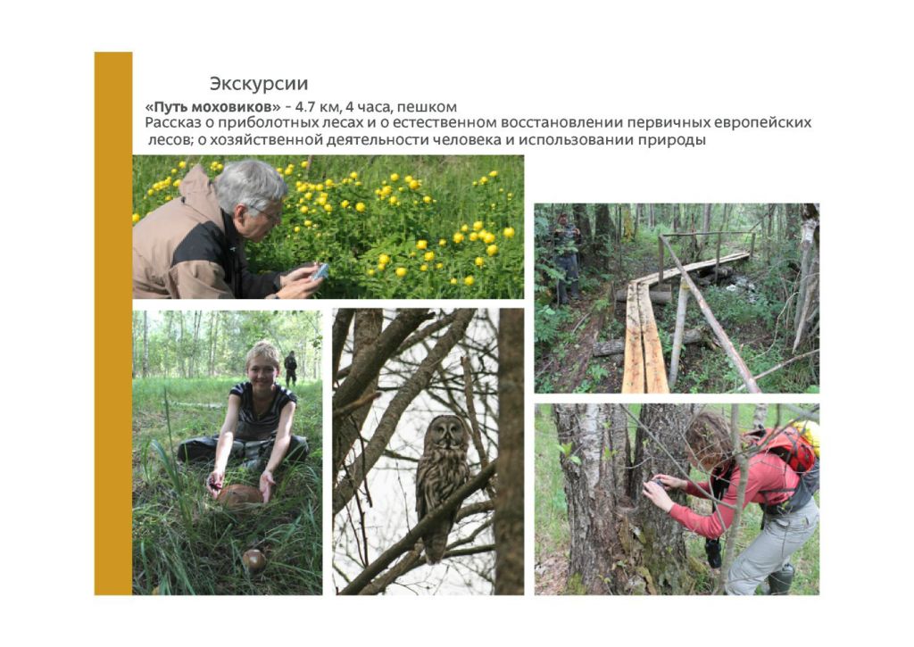  Выступление Яблокова М.С..на круглом столе «Современное состояние и перспективы развития экологического туризма на ООПТ»  - фото 10