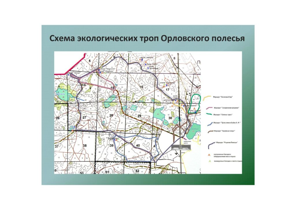  Выступление Абадоновой М.Н.на круглом столе «Современное состояние и перспективы развития экологического туризма на ООПТ»  - фото 15