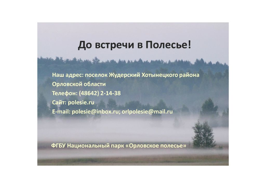 Выступление Абадоновой М.Н.на круглом столе «Современное состояние и перспективы развития экологического туризма на ООПТ»  - фото 17