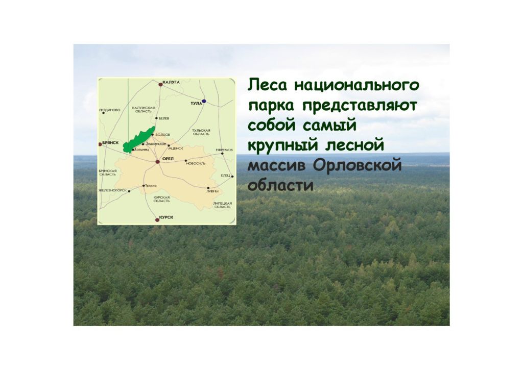  Выступление Абадоновой М.Н.на круглом столе «Современное состояние и перспективы развития экологического туризма на ООПТ»  - фото 3