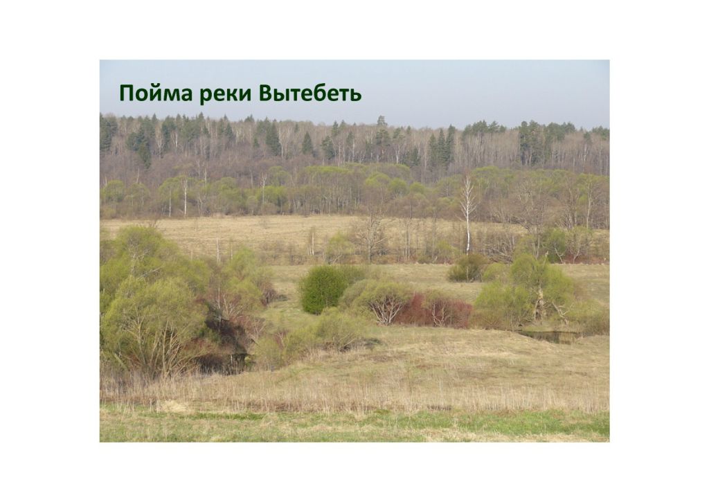  Выступление Абадоновой М.Н.на круглом столе «Современное состояние и перспективы развития экологического туризма на ООПТ»  - фото 4