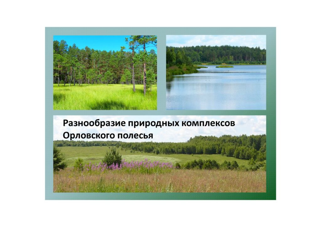  Выступление Абадоновой М.Н.на круглом столе «Современное состояние и перспективы развития экологического туризма на ООПТ»  - фото 5