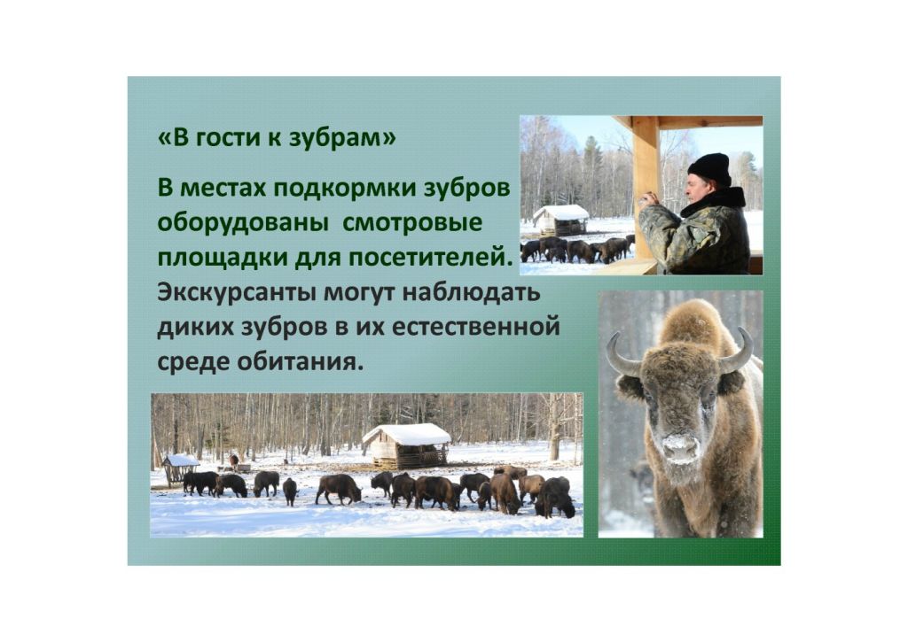  Выступление Абадоновой М.Н.на круглом столе «Современное состояние и перспективы развития экологического туризма на ООПТ»  - фото 7