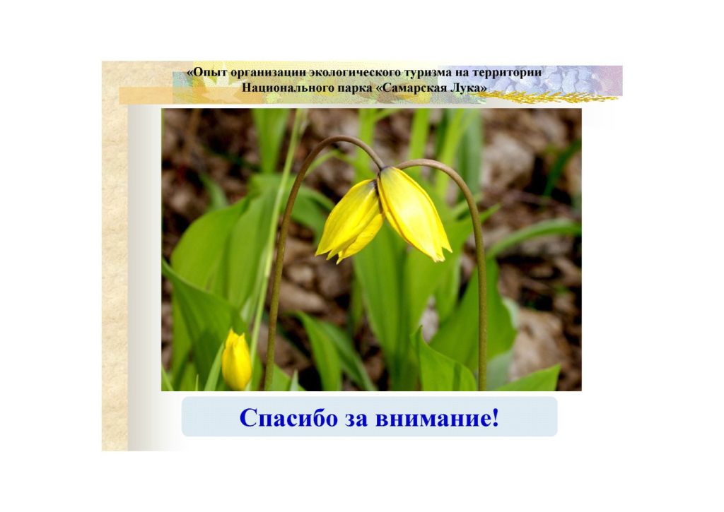  Выступление Губернаторова А.Е.на круглом столе «Современное состояние и перспективы развития экологического туризма на ООПТ»  - фото 11